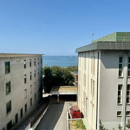 Blue Horizon - Reception Triest
